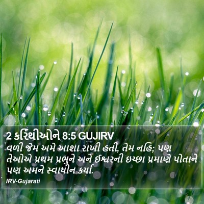 2 કરિંથીઓને 8:5 GUJIRV Bible Verse Image