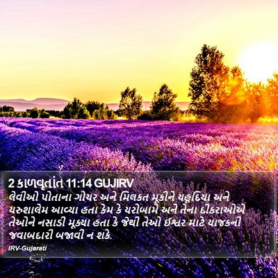 2 કાળવૃતાંત 11:14 GUJIRV Bible Verse Image