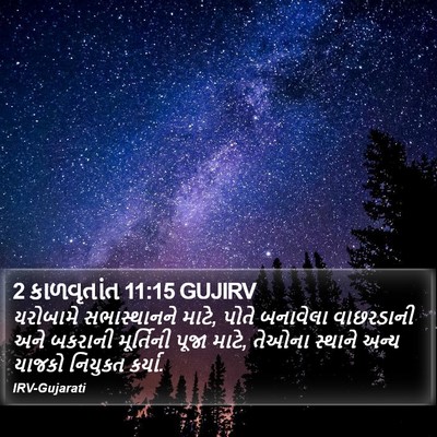 2 કાળવૃતાંત 11:15 GUJIRV Bible Verse Image