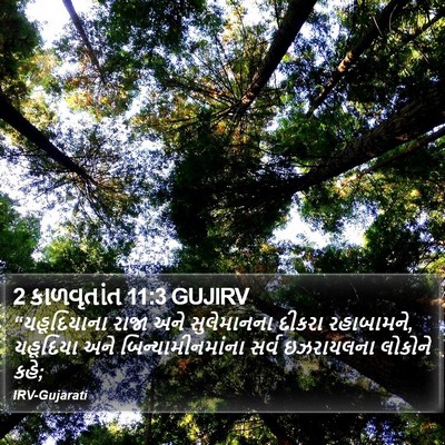 2 કાળવૃતાંત 11:3 GUJIRV Bible Verse Image