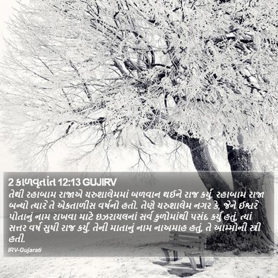 2 કાળવૃતાંત 12:13 GUJIRV Bible Verse Image