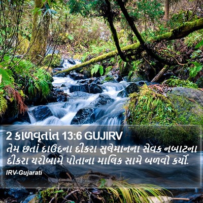2 કાળવૃતાંત 13:6 GUJIRV Bible Verse Image