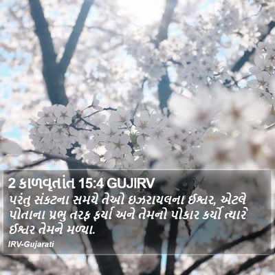 2 કાળવૃતાંત 15:4 GUJIRV Bible Verse Image