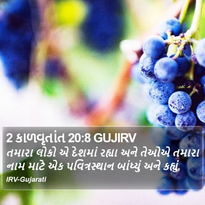 2 કાળવૃતાંત 20:8 GUJIRV Bible Verse Image