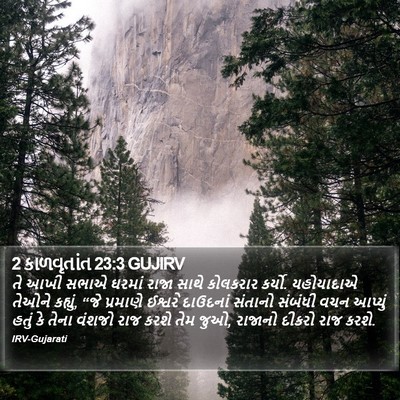 2 કાળવૃતાંત 23:3 GUJIRV Bible Verse Image