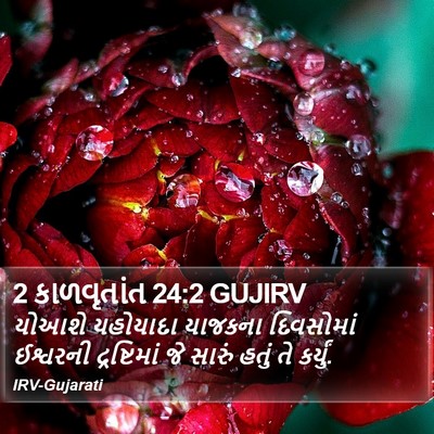 2 કાળવૃતાંત 24:2 GUJIRV Bible Verse Image