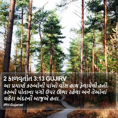 2 કાળવૃતાંત 3:13 GUJIRV Bible Verse Image