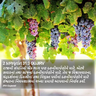 2 કાળવૃતાંત 31:3 GUJIRV Bible Verse Image