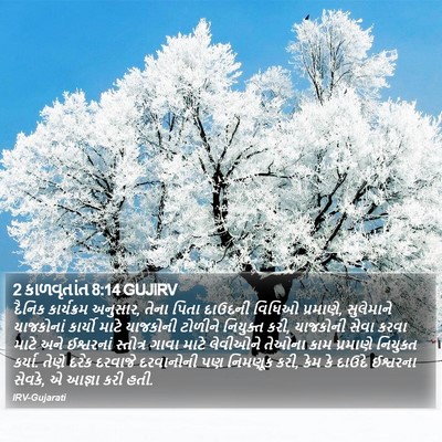 2 કાળવૃતાંત 8:14 GUJIRV Bible Verse Image
