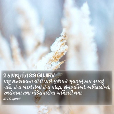 2 કાળવૃતાંત 8:9 GUJIRV Bible Verse Image