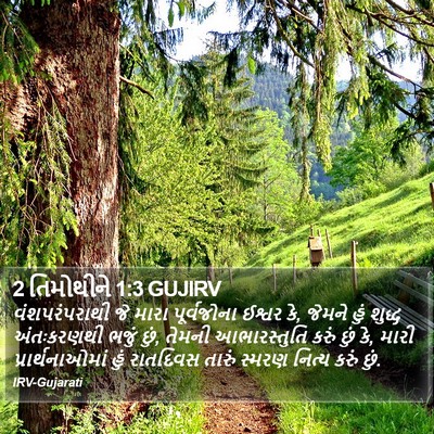 2 તિમોથીને 1:3 GUJIRV Bible Verse Image