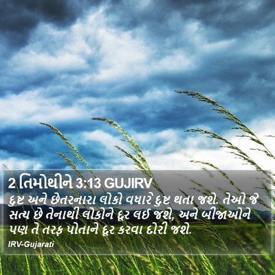 2 તિમોથીને 3:13 GUJIRV Bible Verse Image
