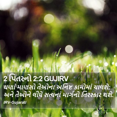 2 પિતરનો 2:2 GUJIRV Bible Verse Image