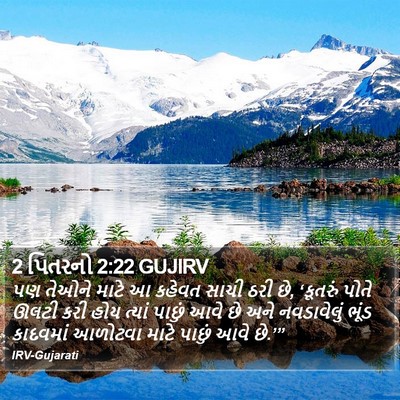 2 પિતરનો 2:22 GUJIRV Bible Verse Image