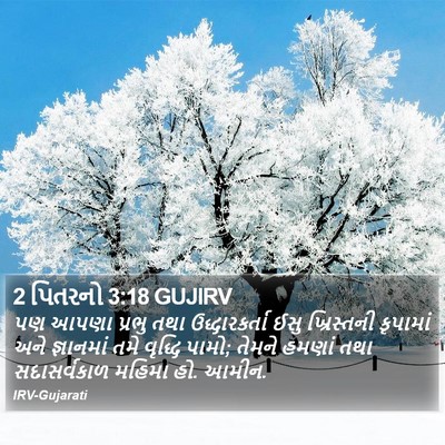 2 પિતરનો 3:18 GUJIRV Bible Verse Image