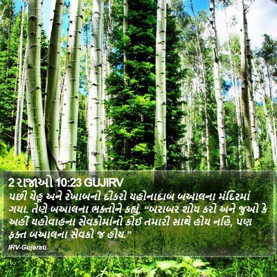 2 રાજાઓ 10:23 GUJIRV Bible Verse Image