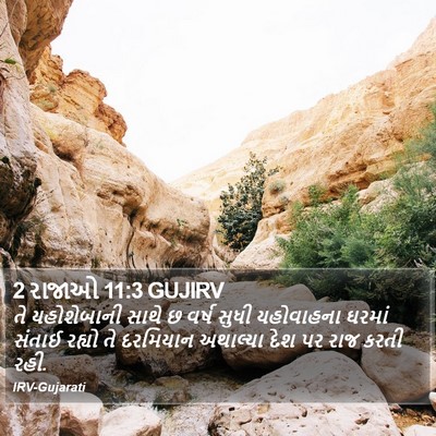 2 રાજાઓ 11:3 GUJIRV Bible Verse Image