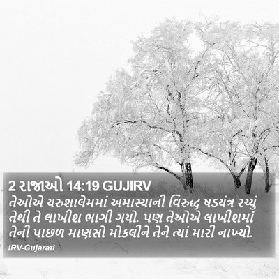 2 રાજાઓ 14:19 GUJIRV Bible Verse Image