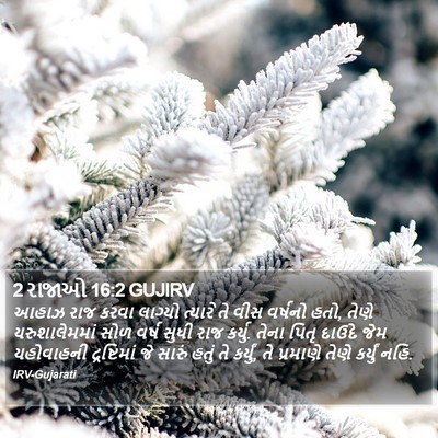 2 રાજાઓ 16:2 GUJIRV Bible Verse Image