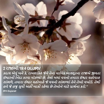 2 રાજાઓ 19:4 GUJIRV Bible Verse Image