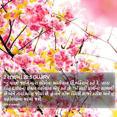 2 રાજાઓ 20:5 GUJIRV Bible Verse Image