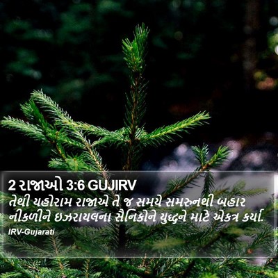 2 રાજાઓ 3:6 GUJIRV Bible Verse Image