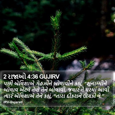 2 રાજાઓ 4:36 GUJIRV Bible Verse Image