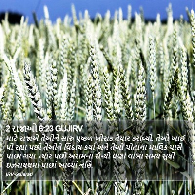 2 રાજાઓ 6:23 GUJIRV Bible Verse Image