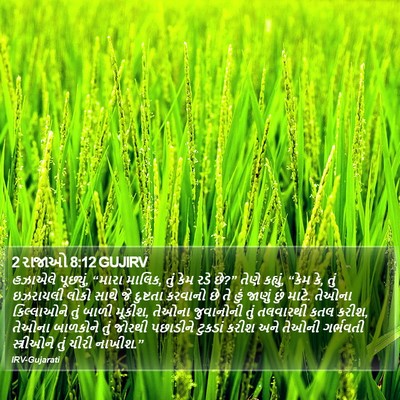 2 રાજાઓ 8:12 GUJIRV Bible Verse Image