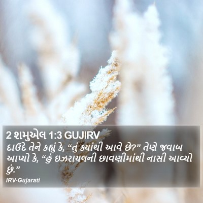 2 શમુએલ 1:3 GUJIRV Bible Verse Image
