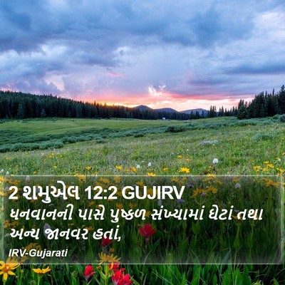 2 શમુએલ 12:2 GUJIRV Bible Verse Image