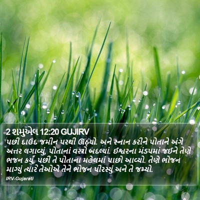 2 શમુએલ 12:20 GUJIRV Bible Verse Image