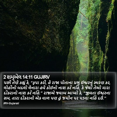 2 શમુએલ 14:11 GUJIRV Bible Verse Image