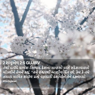 2 શમુએલ 2:5 GUJIRV Bible Verse Image