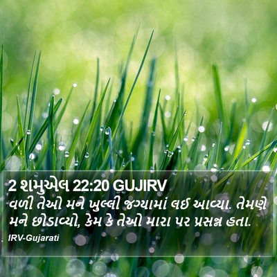 2 શમુએલ 22:20 GUJIRV Bible Verse Image