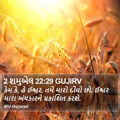 2 શમુએલ 22:29 GUJIRV Bible Verse Image