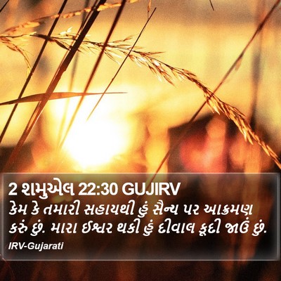 2 શમુએલ 22:30 GUJIRV Bible Verse Image