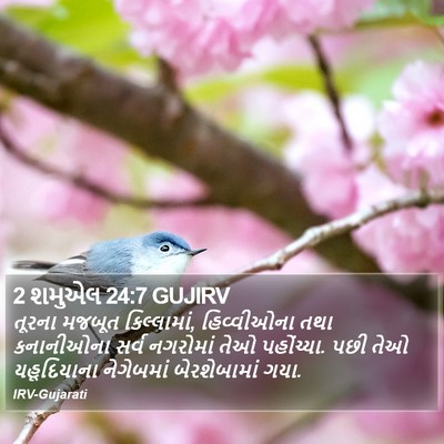 2 શમુએલ 24:7 GUJIRV Bible Verse Image