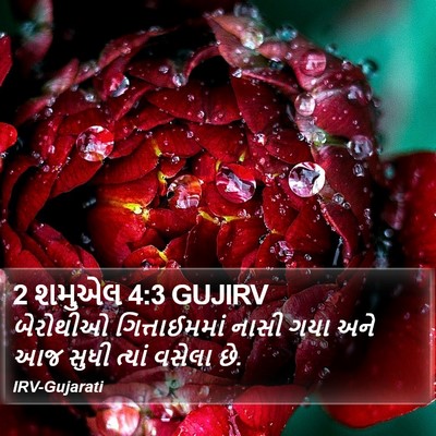 2 શમુએલ 4:3 GUJIRV Bible Verse Image