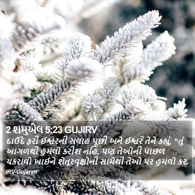 2 શમુએલ 5:23 GUJIRV Bible Verse Image