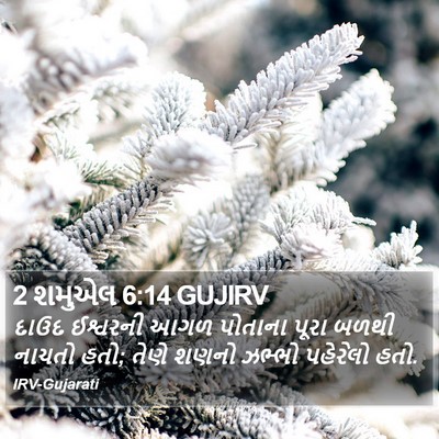 2 શમુએલ 6:14 GUJIRV Bible Verse Image