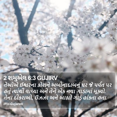2 શમુએલ 6:3 GUJIRV Bible Verse Image