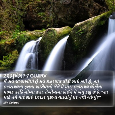 2 શમુએલ 7:7 GUJIRV Bible Verse Image
