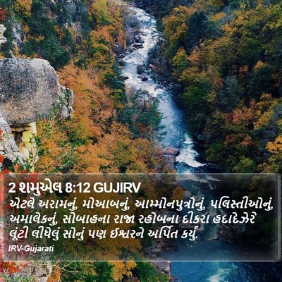 2 શમુએલ 8:12 GUJIRV Bible Verse Image
