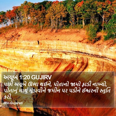 અયૂબ 1:20 GUJIRV Bible Verse Image