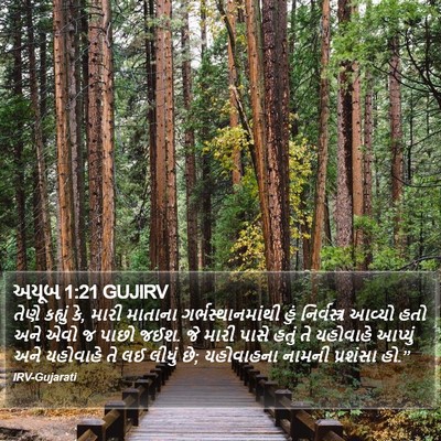 અયૂબ 1:21 GUJIRV Bible Verse Image