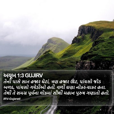 અયૂબ 1:3 GUJIRV Bible Verse Image