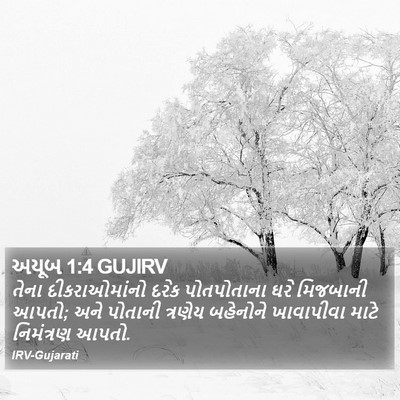 અયૂબ 1:4 GUJIRV Bible Verse Image