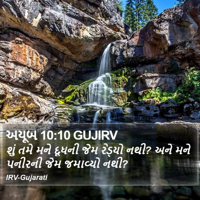 અયૂબ 10:10 GUJIRV Bible Verse Image