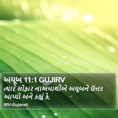 અયૂબ 11:1 GUJIRV Bible Verse Image